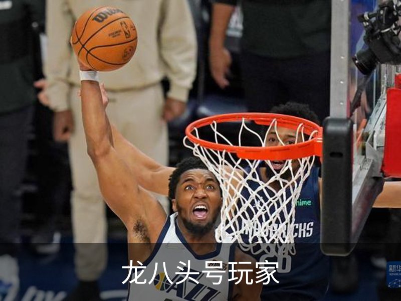 龙八头号玩家介绍